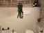 Immagine 9