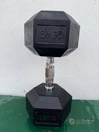 Peso Dumbbell 25 KG