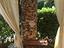 Immagine 19