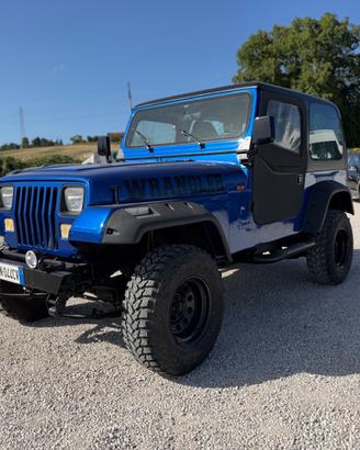 Jeep WRANGLER 4.0 cat 3 porte Selec-Trac Limited (