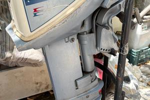 Motore Evirude 15 più gommone