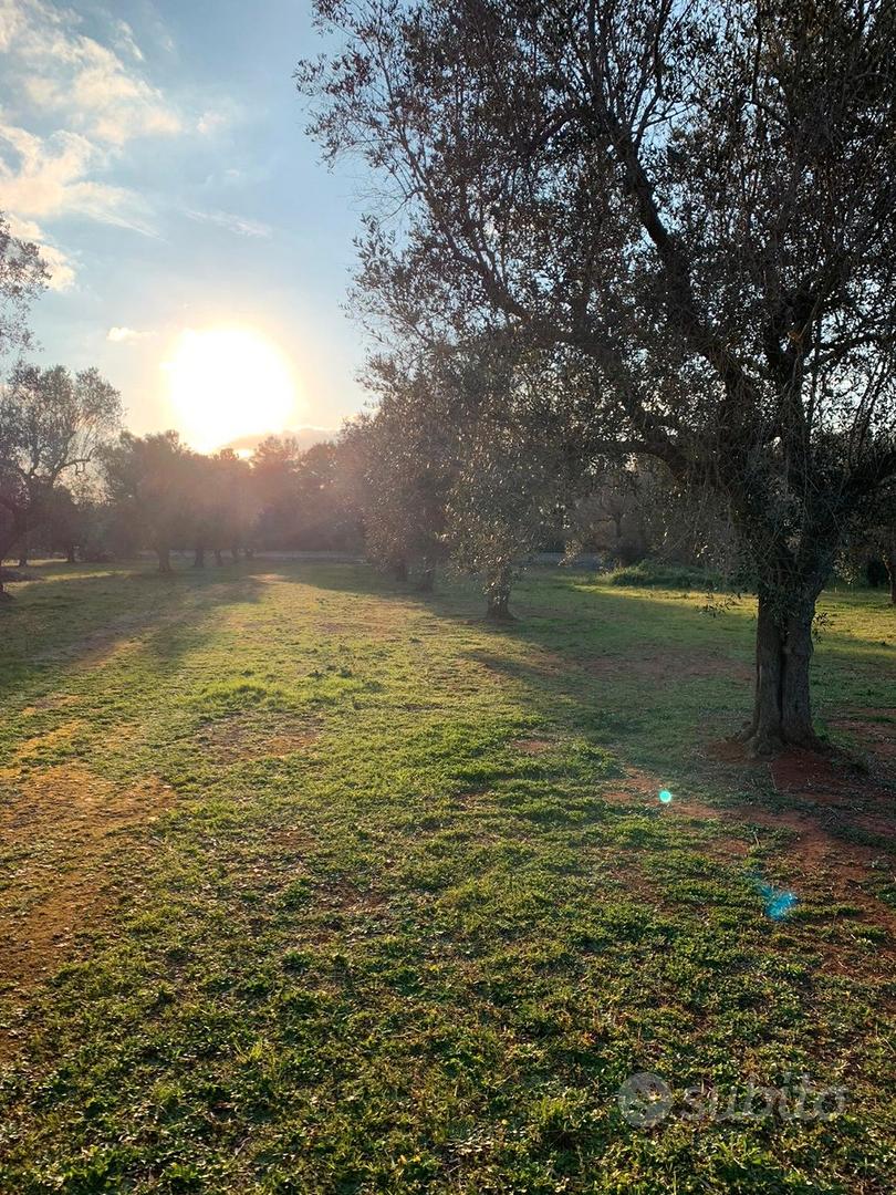 Terreno agricolo - Vista 4