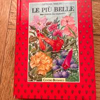 Le piu belle piante da giardino