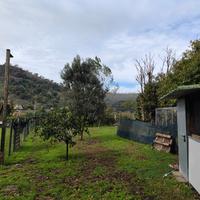 Terreno con categoria catastale D6