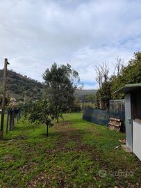 Terreno con categoria catastale D6