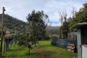 Terreno con categoria catastale D6