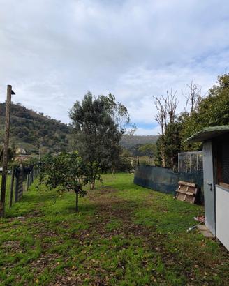 Terreno con categoria catastale D6