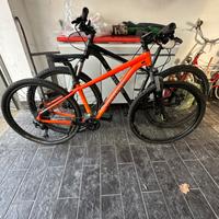 Coppia  Bici  Cannondale