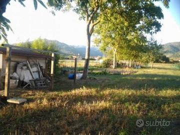 Terreno di 4300 m² a Sansepolcro