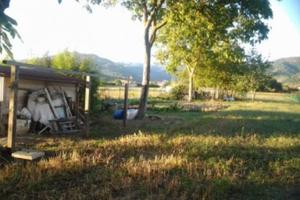 Terreno di 4300 m² a Sansepolcro