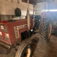 Trattore fiat 60 66