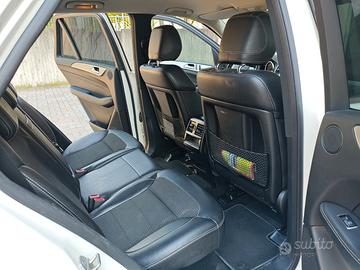 Mercedes ML250
