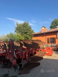 Aratro quadrivomero kuhn