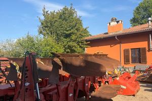 Aratro quadrivomero kuhn
