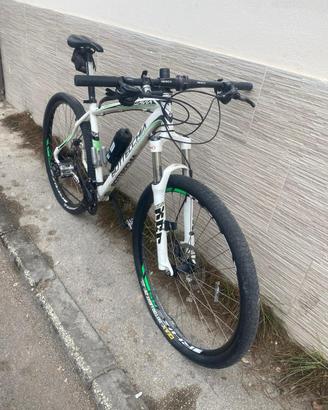 Bici bottecchia