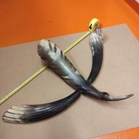 Scultura in corno a forma di rondine 1930