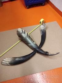 Scultura in corno a forma di rondine 1930