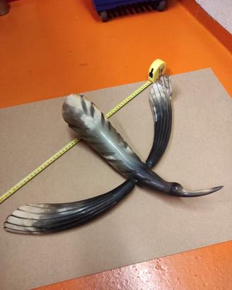 Scultura in corno a forma di rondine 1930