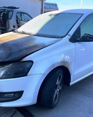 VOLKSWAGEN POLO 1.2 D 55KW - ANNO 2014