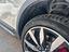Immagine 19