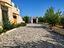 Immagine 9