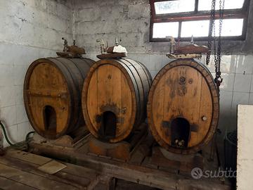 3 botti legno di rovere