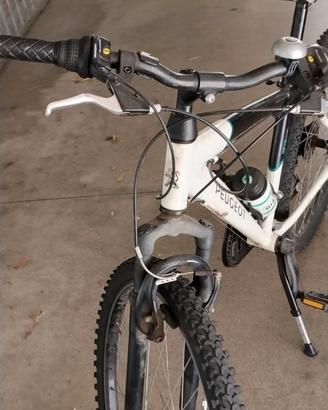Bicicletta