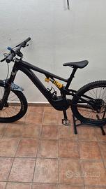 specialized kenevo expert 