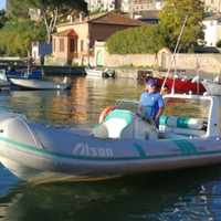 Gommone Alson con motore e carrello