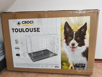 croci Toulouse kennel 