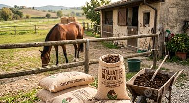 Stallatico 