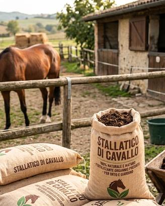 Stallatico 