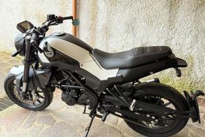 Benelli Leoncino 250 - 2021 Perfetta