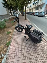 Bici elettrica