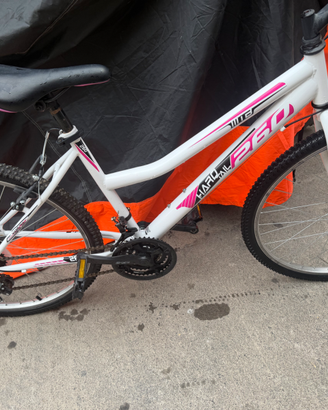 Bici mis.20