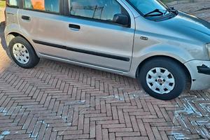 Auto Adata A Neopatentati