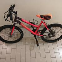 MTB Torpado 20