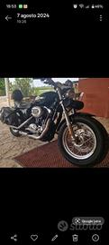 Sportster xl 1200 c