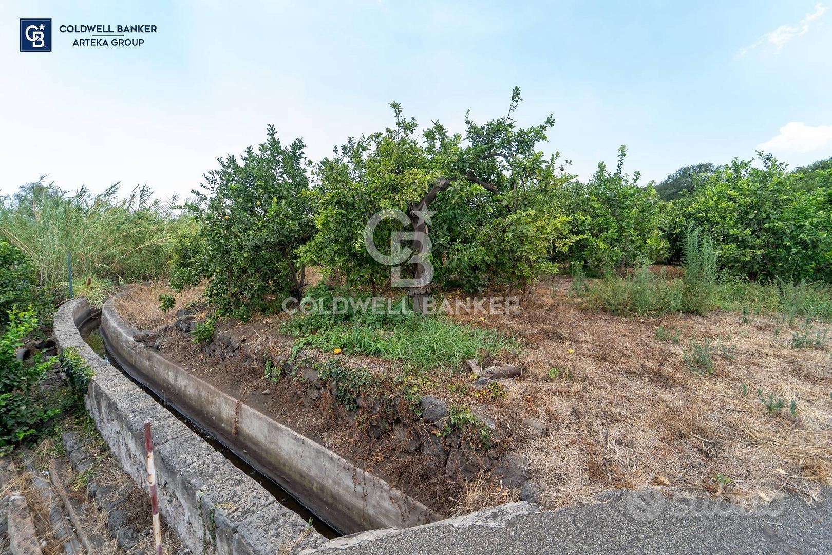 Terreno agricolo - Acireale - Altro