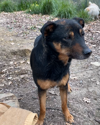 Buongiorno credo di chiamarmi ASPETTA