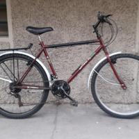 CYTI BIKE 26 uomo con marce pronta all'uso 