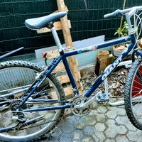 Bici Giant