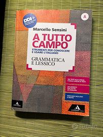 A tutto campo grammatica e lessico