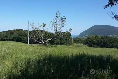 Conero rustico panoramico