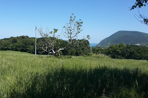 Conero rustico panoramico