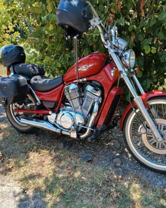 Suzuki  Intruder 800