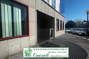 CC-317 MQ 1080 ROMA, COLLI ANIENE/ PAMLIRO TOGLIAT