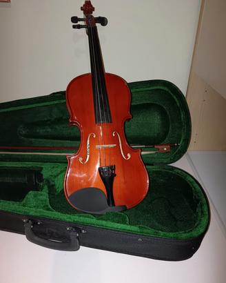 violino per studio 