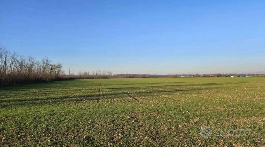 Immobile in asta di 54095 m² a Dairago - Vista 5