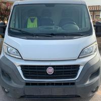 Fiat ducato 130cv anno 2014 frigo trasporto farm